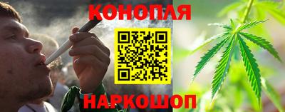 сатива Бузулук