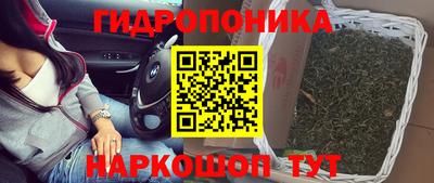 сатива Бузулук