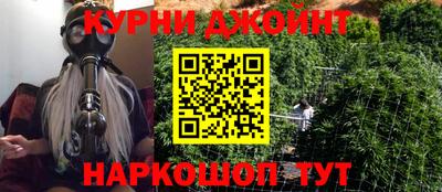 сатива Бузулук